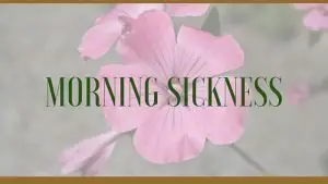 morning sickness herbal remedies