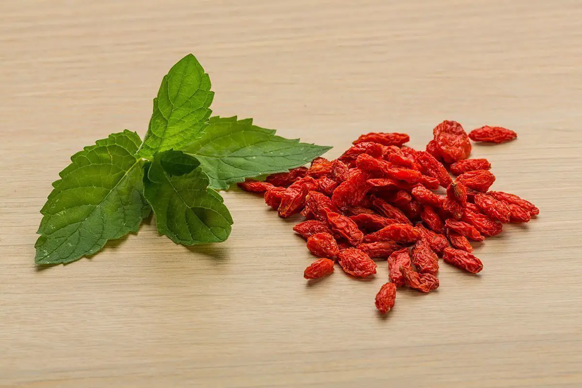 Berberine Toxicity Uses And Benefits The Herbal Resource berberine-toxicity-uses-and-benefits-the-herbal-resource