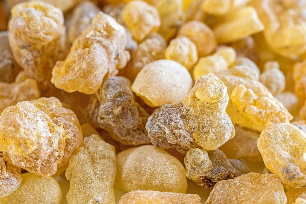 What are the health benefits of Frankincense? The Herbal Resource